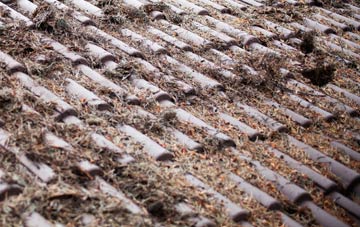 Woolpit Green roof cleaning companies