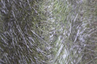 Woolpit Green fibreglass roof work